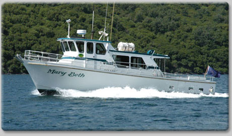 Bear Viewing Boat